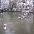 Les bords du Loiret en hiver