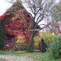 L'automne en Alsace - France