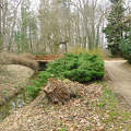 Híd a Ciszterci Apátság Arborétumban - Zirc