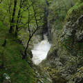 Škocjan-barlangrendszer folyója (Reka), Szlovénia
