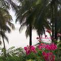 Plage de Cap Skirring - Sénégal