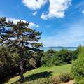 Balatonboglári kilatás a tóra