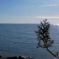 balaton, víz, csillogás