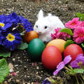 Kellemes húsvéti ünnepet kívánok.