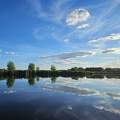 Holt Tisza
