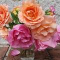 Les Roses du jardin