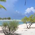 Tikehau (Tuamotu-szigetek)