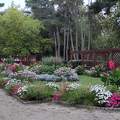 Siófok Jókai park