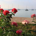 Balatonalmádi