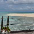 Tikehau (Tuamotu-szigetek)