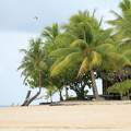 Tikehau (Tuamotu-szigetek)