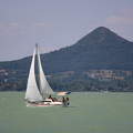 Balaton, vitorlás