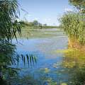 Tisza tó.