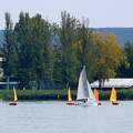balaton, vitorlások
