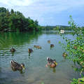 Csónakázó-tó - Szombathely