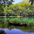 Biogradsko tó, Montenegró