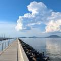 Balatonfenyves