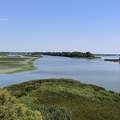Tisza-tó.