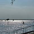Ezüstös Balaton