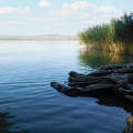 Balatonfűzfői csendélet
