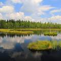 Chalupská láp, Sumava NP, Csehország