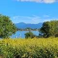 Chiemsee