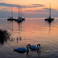 Csendélet a Balaton partján.