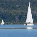 balaton, magyarország, tó, vitorlás