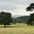 Lochwinnoch / Skócia