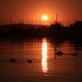 Balatonkenese