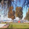 Balaton, Alsóörs