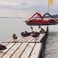 Balatonfűzfő