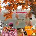 L'Automne