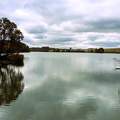Deseda-tó