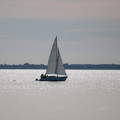 vitorlás, Balaton, csillogás