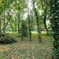 Park, Ősz, Papkeszi, Colorkémia