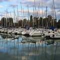 Balaton