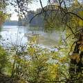 Mártély,Holt-Tisza.