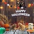 Happy Halloween - Création Domi