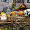 Automne à Orléans - Loiret - France