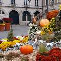 Automne à Orléans - Loiret - France