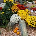 L'automne