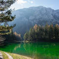 Grüner See