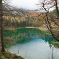 Grüner See