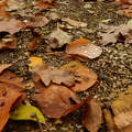 November