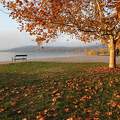 Őszi varázslat Balatonalmádiban.