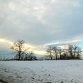 novemberi havazás