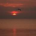 Balatonalmádi