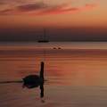 Alkonyati varázslat a Balaton partján.