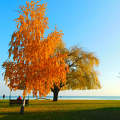 Balatonalmádi - strand